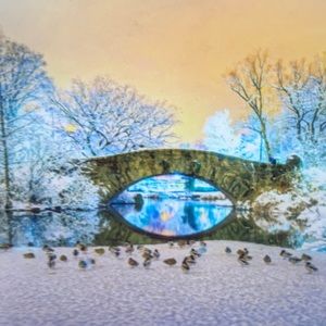 Meet your Posher, Wayne